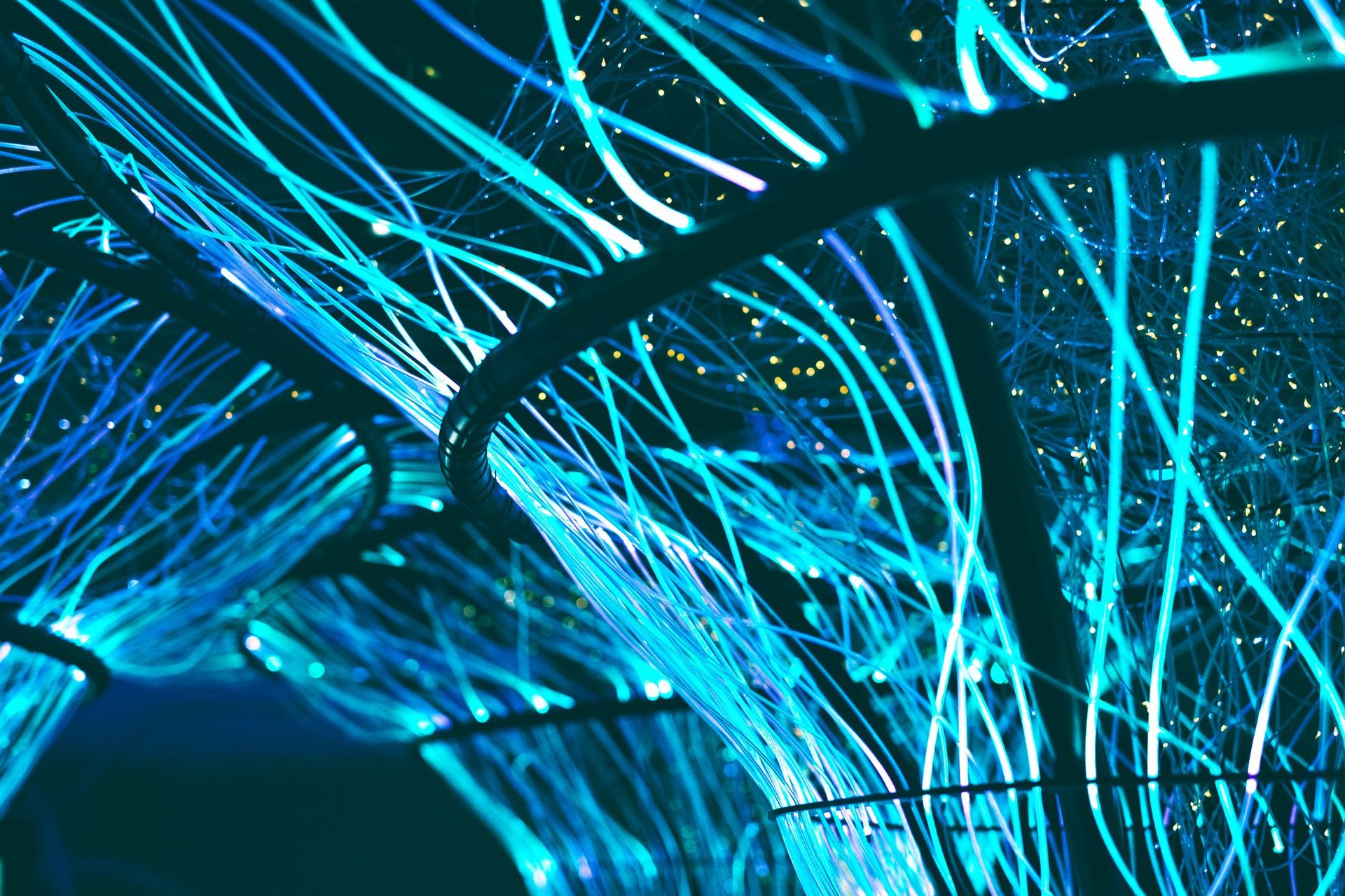 Branches of cyan light against the dark
